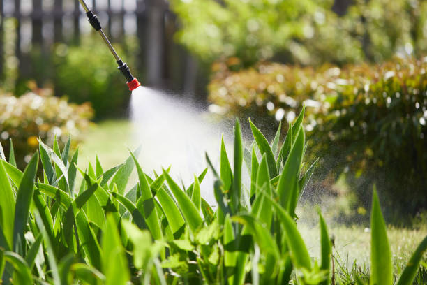 24/7 Emergency Wasp Removal experts in Stanley, WI